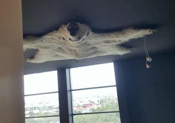 Painting Services | Kangaroo Island | 8